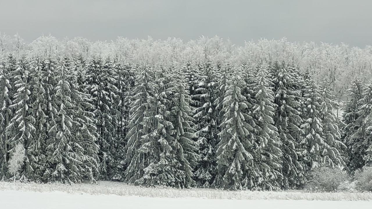 Ferienhaus Kirschbluete 蒙绍 外观 照片